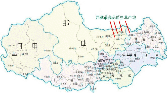 õĶxĲ,õĶxĲݵĮa(chn),Ʒ|ѶxĲݵĮa(chn),Ʒ|öxĲݵĮa(chn),ضxĲݵѮa(chn)